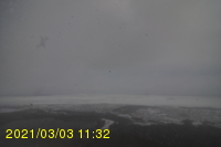 Img20210303_113217.jpg