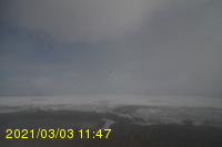 Img20210303_114727.jpg