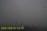 Img20210310_131509.jpg