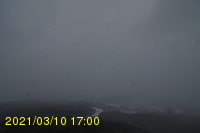 Img20210310_170012.jpg