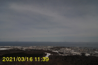 Img20210316_113934.jpg