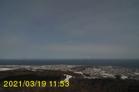 Img20210319_115347.jpg