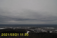 Img20210321_113058.jpg