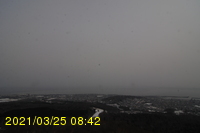 Img20210325_084206.jpg