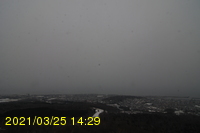 Img20210325_142915.jpg