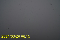 Img20210326_061538.jpg