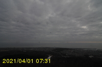Img20210401_073148.jpg
