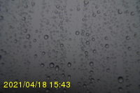 Img20210418_154313.jpg