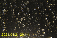 Img20210421_201450.jpg
