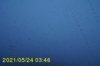 Img20210524_034629.jpg