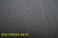 Img20210524_063129.jpg