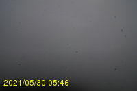 Img20210530_054638.jpg