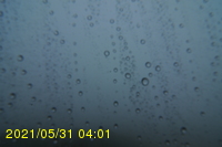 Img20210531_040140.jpg