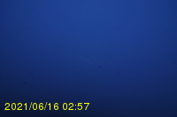 Img20210616_025746.jpg