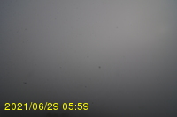 Img20210629_055928.jpg
