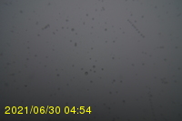 Img20210630_045433.jpg