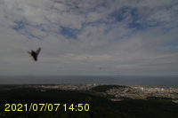 Img20210707_145015.jpg