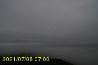 Img20210708_070019.jpg