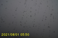 Img20210801_055045.jpg