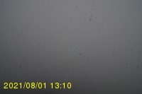 Img20210801_131050.jpg