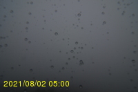 Img20210802_050057.jpg