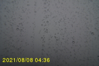 Img20210808_043630.jpg