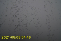 Img20210808_044631.jpg