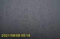 Img20210808_051631.jpg