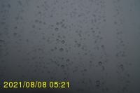 Img20210808_052131.jpg