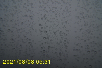 Img20210808_053131.jpg