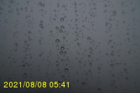 Img20210808_054131.jpg