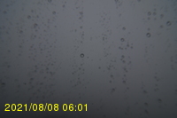 Img20210808_060131.jpg