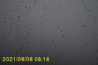 Img20210808_061631.jpg