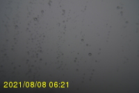 Img20210808_062131.jpg