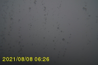 Img20210808_062631.jpg