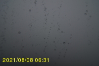 Img20210808_063131.jpg