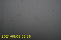 Img20210808_063631.jpg