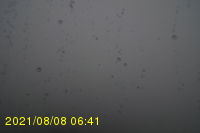 Img20210808_064131.jpg