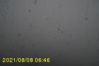 Img20210808_064631.jpg