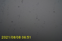 Img20210808_065131.jpg
