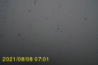 Img20210808_070131.jpg