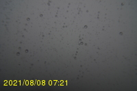 Img20210808_072131.jpg