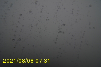 Img20210808_073131.jpg