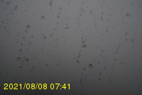 Img20210808_074131.jpg