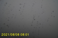 Img20210808_080131.jpg
