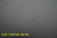 Img20210808_080631.jpg