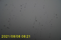 Img20210808_082131.jpg