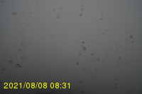 Img20210808_083131.jpg