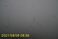Img20210808_083631.jpg