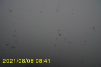 Img20210808_084131.jpg